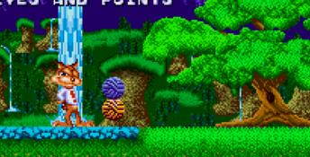 Bubsy in Claws Encounters of the Furred Kind SNES Screenshot