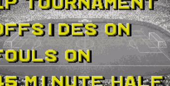 Champions World Class Soccer SNES Screenshot