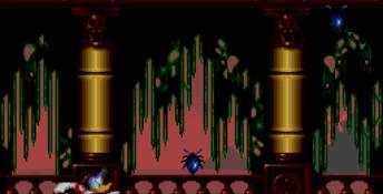 Donald in Maui Mallard SNES Screenshot