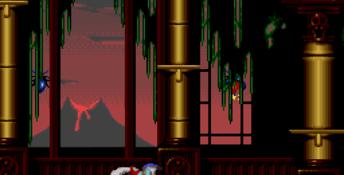Donald in Maui Mallard SNES Screenshot