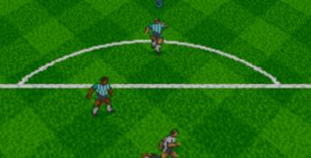 Elite Soccer