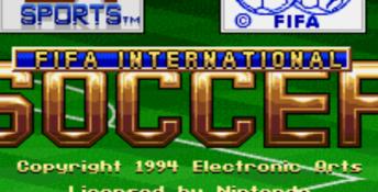 FIFA International Soccer SNES Screenshot