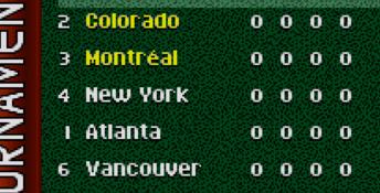 FIFA Soccer '96 SNES Screenshot