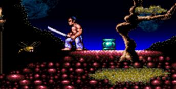 First Samurai SNES Screenshot