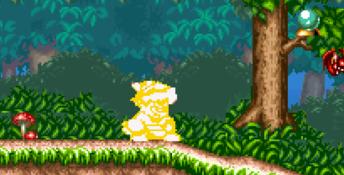Incantation SNES Screenshot