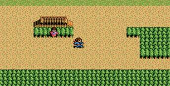 Inindo: Way of the Ninja