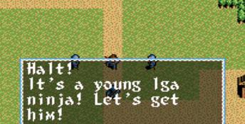 Inindo: Way of the Ninja