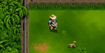 Jurassic Park SNES Screenshot