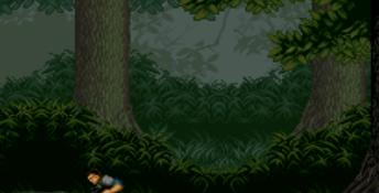 Jurassic Park 2: The Chaos Continues SNES Screenshot