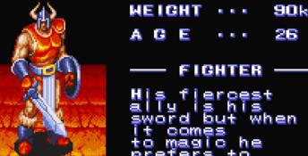 King of Dragons (1994) SNES Screenshot