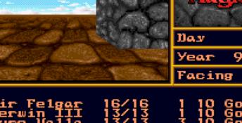 Might and Magic II: Gates to Another World SNES Screenshot
