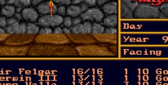 Might and Magic II: Gates to Another World SNES Screenshot