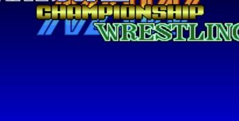 Natsume Championship Wrestling SNES Screenshot