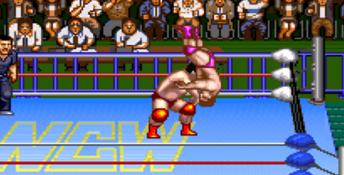 Natsume Championship Wrestling