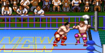 Natsume Championship Wrestling