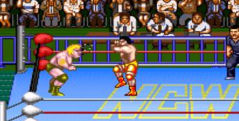 Natsume Championship Wrestling