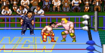 Natsume Championship Wrestling
