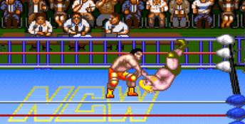 Natsume Championship Wrestling