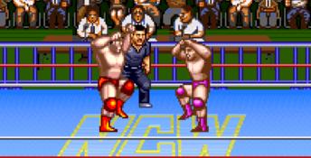 Natsume Championship Wrestling SNES Screenshot