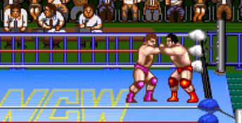 Natsume Championship Wrestling SNES Screenshot