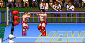 Natsume Championship Wrestling SNES Screenshot