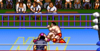 Natsume Championship Wrestling SNES Screenshot