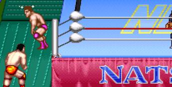 Natsume Championship Wrestling SNES Screenshot