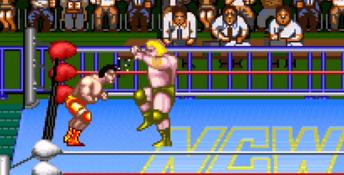 Natsume Championship Wrestling SNES Screenshot