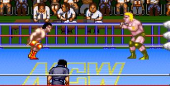 Natsume Championship Wrestling SNES Screenshot