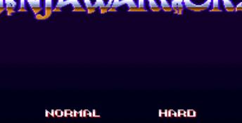 The Ninja Warriors