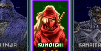 The Ninja Warriors