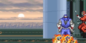 The Ninja Warriors