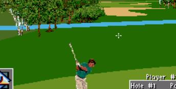 PGA Tour 96 SNES Screenshot