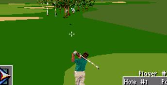 PGA Tour 96 SNES Screenshot