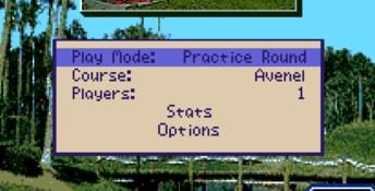 PGA Tour 96 SNES Screenshot