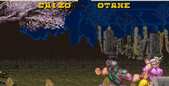 Power Instinct SNES Screenshot
