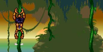 Prehistorik Man SNES Screenshot
