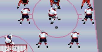 Pro Sport Hockey