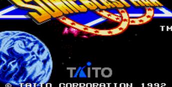Sonic Blastman