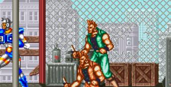 Sonic Blastman