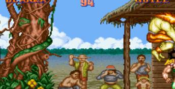 Street Fighter II: The World Warrior