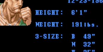 Super Street Fighter II: The New Challengers SNES Screenshot