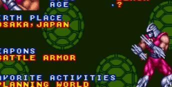 Teenage Mutant Ninja Turtles: Tournament Fighters SNES Screenshot