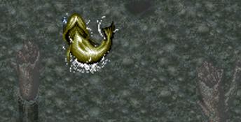 TNN Bass Tournament of Champions SNES Screenshot