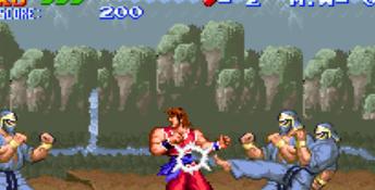 Ultimate Fighter