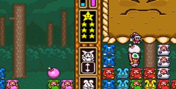 Wario's Woods