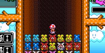 Wario's Woods