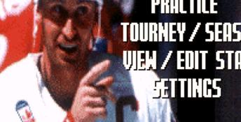 Wayne Gretzky Hockey NHLPA All-Stars SNES Screenshot