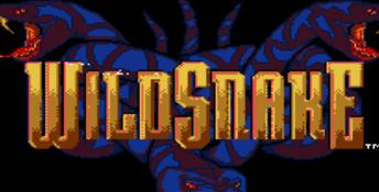 Wild Snake SNES Screenshot