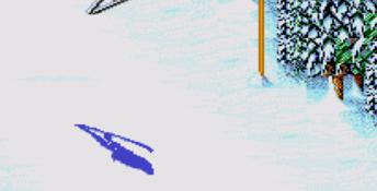 Winter Olympic Games: Lillehammer '94 SNES Screenshot